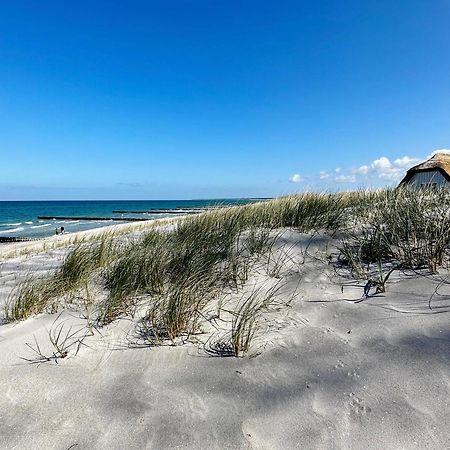 Strandhaus Claassen 07 Ahrenshoop Dış mekan fotoğraf