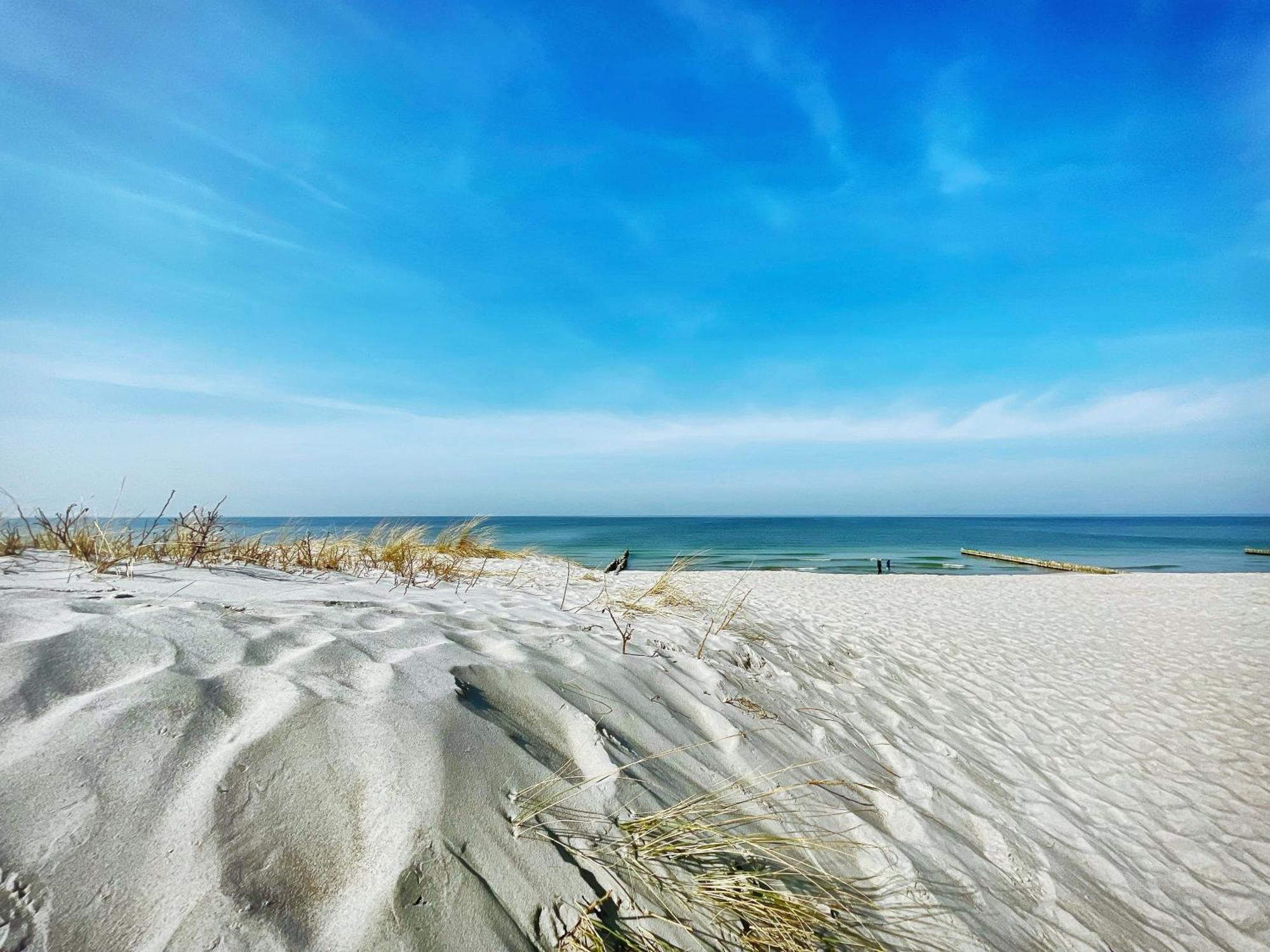 Strandhaus Claassen 07 Ahrenshoop Dış mekan fotoğraf