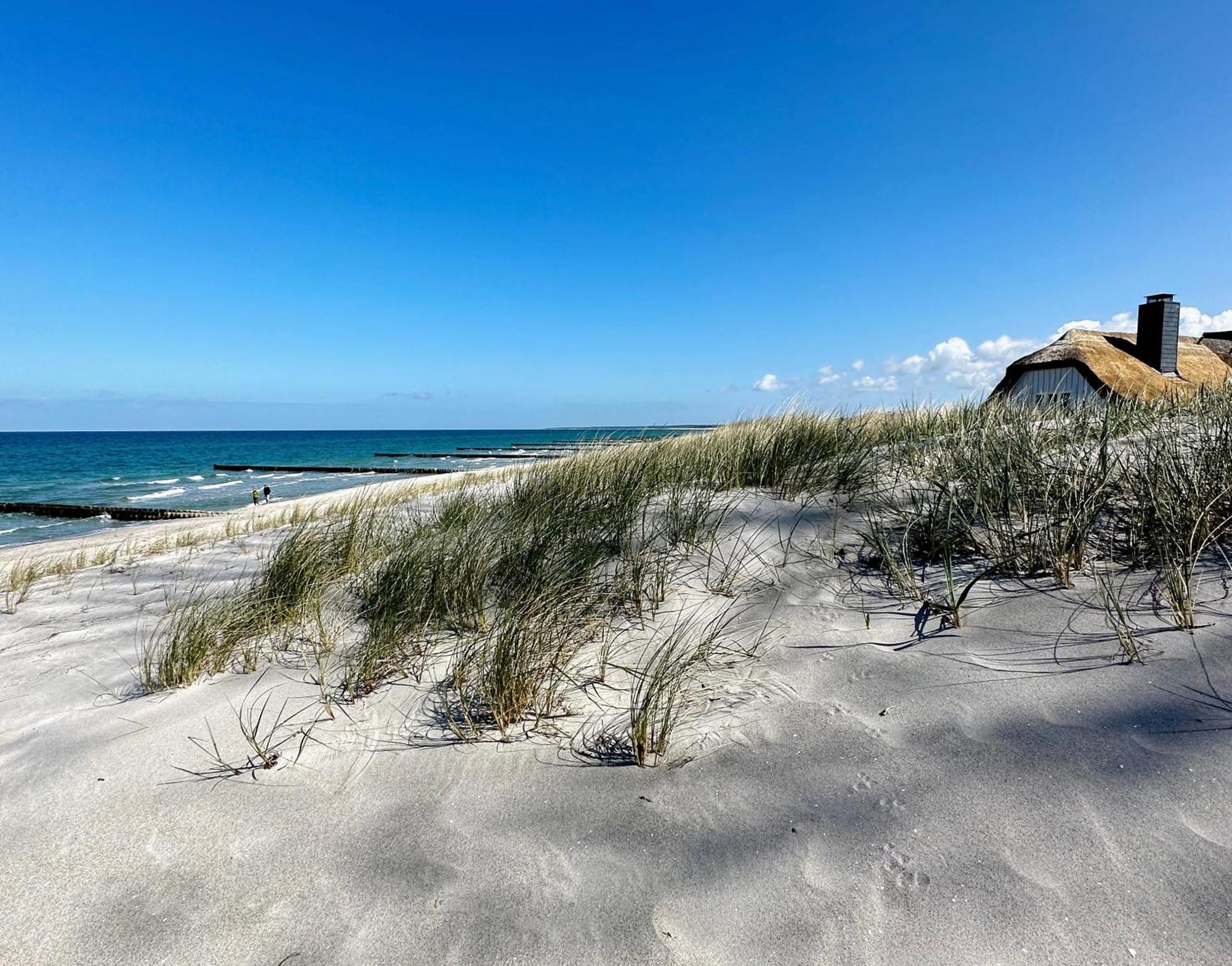 Strandhaus Claassen 07 Ahrenshoop Dış mekan fotoğraf